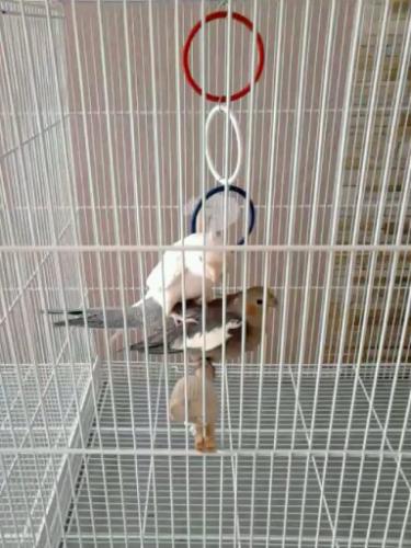 1443970345962.thumb.jpg.4289ebfc28bbc83d