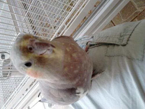 1444142972098.thumb.jpg.ce0dbd25b5cd9887