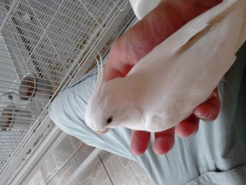 1444142972470.thumb.jpg.1f963fe8c474616f