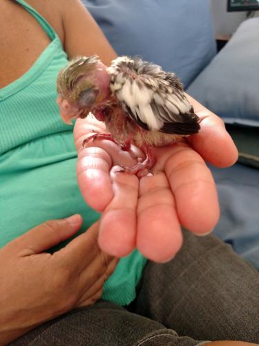 1445525479210-1765003259.thumb.jpg.c76d6