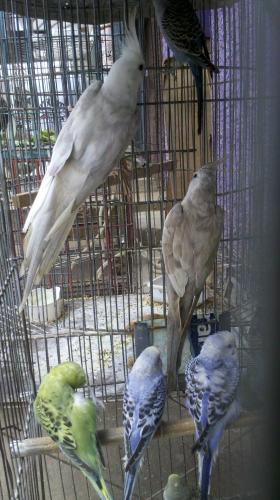 2015-10-07_12-32-44_579.thumb.jpg.eba226