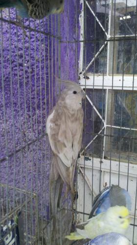 2015-10-07_12-33-24_718.thumb.jpg.ade1d1