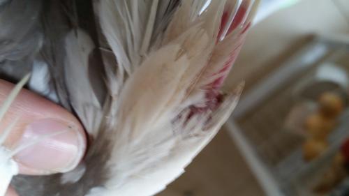 20151005_065651.jpg