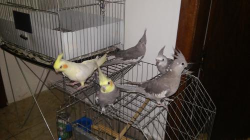 20151009_192356.thumb.jpg.9ef66d2ed7b07f