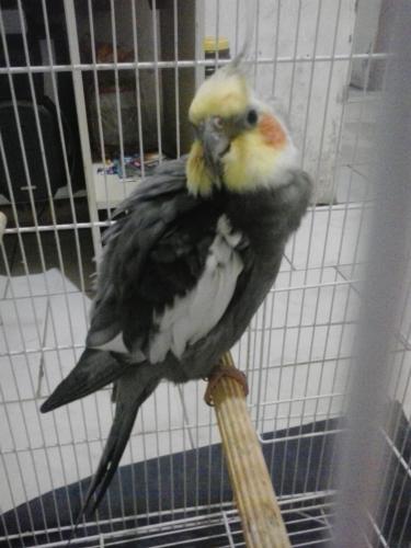 20151028_212320.thumb.jpg.eef93792d7c365