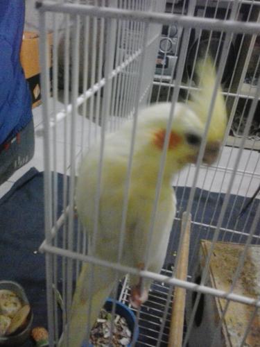 20151028_212848.thumb.jpg.816dae1ba29304