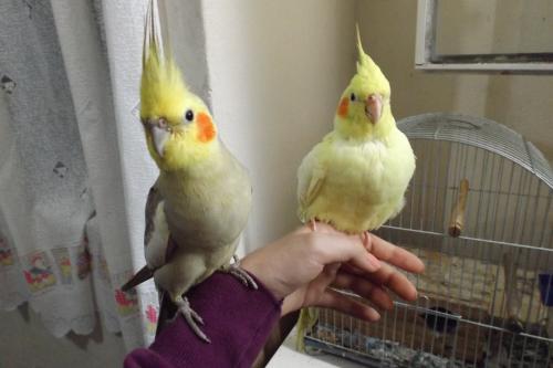 DSCF2116.thumb.JPG.7bfb5e6f69545d3cc2f40