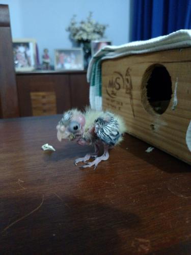 IMG_20151006_190649577.thumb.jpg.d384b03