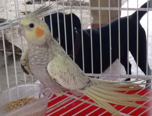 IMG_20151026_162116185 (2).jpg