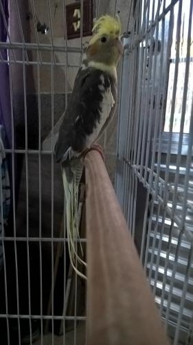 WP_20151005_17_05_10_Pro 1.jpg