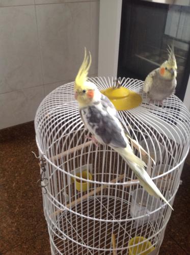 image.thumb.jpg.8ac0bcb5442c8d6e50b73e77