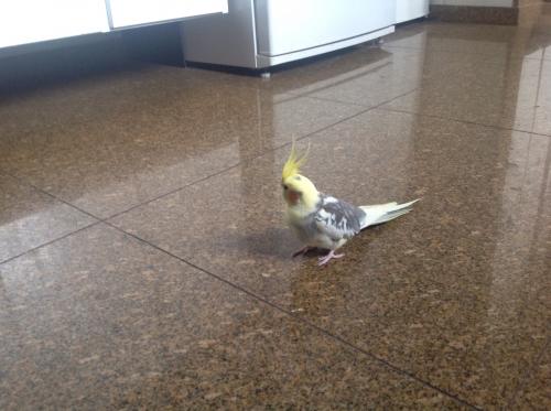 image.thumb.jpg.edd4474750922deac21cb2b7