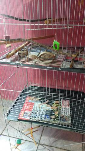 1448813914087-1538073119.thumb.jpg.407f1