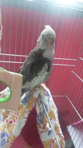 1448916283113-1538073119.thumb.jpg.19a2e