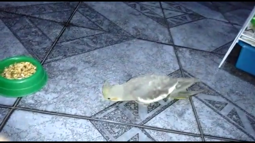 1 - Screenshot_2015-11-09-15-48-59.png