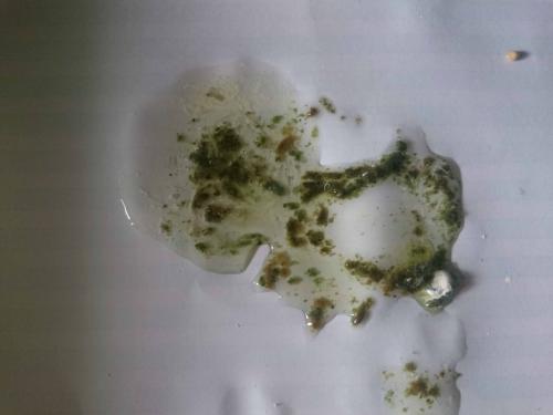 2015-11-08 01.26.18 1.jpg