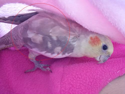 20150615_100615ed.thumb.jpg.46ccce67755a