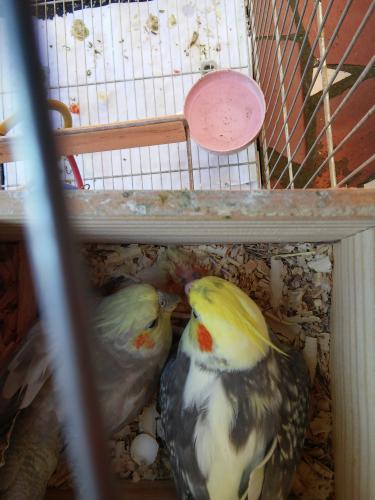 20151029_105211.thumb.jpg.8984dec76aba6b