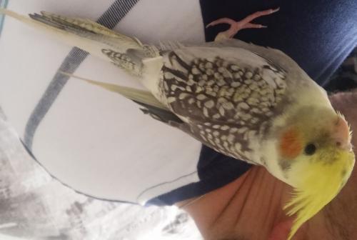 20151102_104136.thumb.jpg.bd63c62984c592