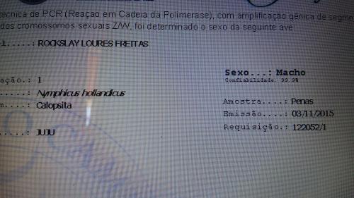 20151103_135128.thumb.jpg.1821b78bd1a3b9