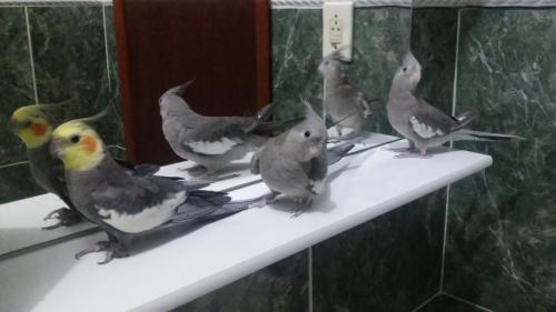 20151106_201753.thumb.jpg.c9dcf20ca96c50