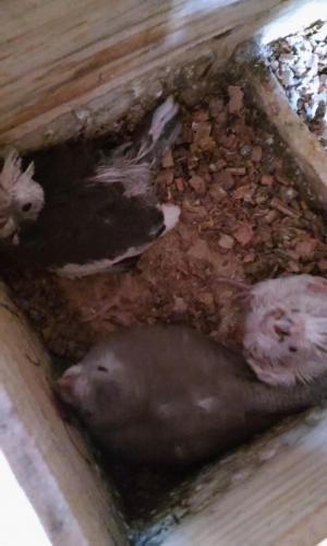 20151120_182720.thumb.jpg.29b933fc4794f9