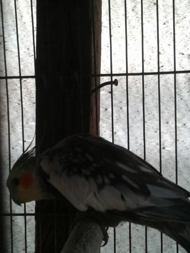 20151124_153705.thumb.jpg.9c0de36046b3fb