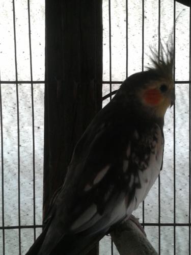 20151124_153800.thumb.jpg.c7bb47b51cee40