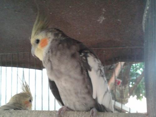 20151124_153923.thumb.jpg.7f02cacdc77855