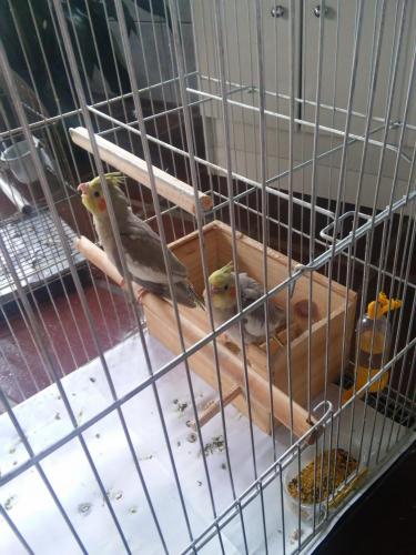 20151128_112933.thumb.jpg.866de1403a0546