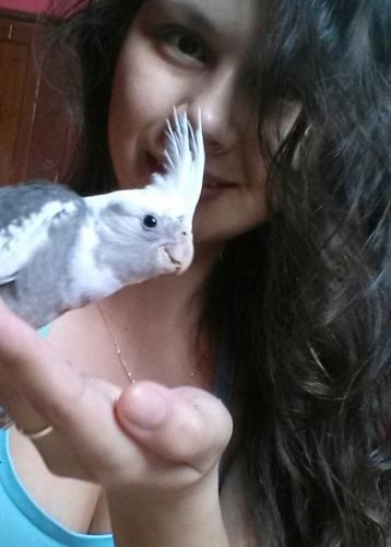 20151129_113642-1.thumb.jpg.4353c0cf7461