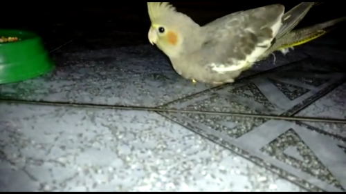 3 - Screenshot_2015-11-09-15-49-05.png