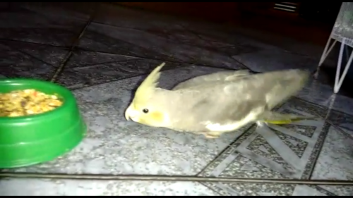 4 - Screenshot_2015-11-09-15-49-42.png