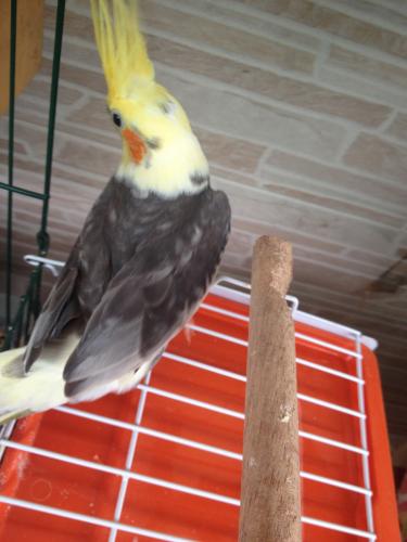 56378eef19082_IMG_48351.thumb.JPG.0ad053