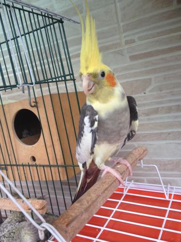 56378f06ef61a_IMG_48331.thumb.JPG.736854