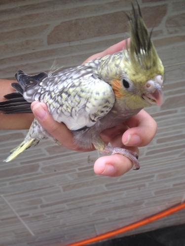 56378f47b758b_IMG_48291.thumb.JPG.bdf667