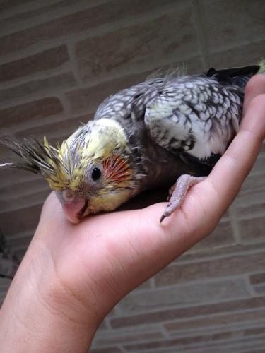 56378fa90e65a_IMG_48251.thumb.JPG.2c4391