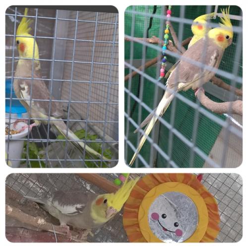 Gs5b62cd60-d17c-4a52-acb5-c9bdb1089924.t