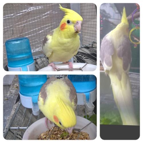 Gsbe4bdabb-a01a-4bf1-b91f-027b1acd05bb.t