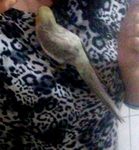 IMG-20151013-WA0007-2.thumb.jpg.65ea1fb3