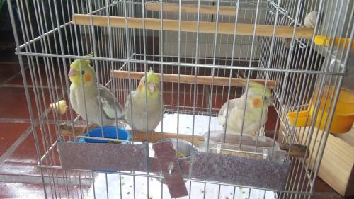 IMG-20151128-WA0003.thumb.jpg.e494e958d0