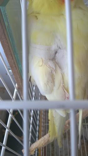 WP_20151128_14_02_49_Pro.thumb.jpg.8535f