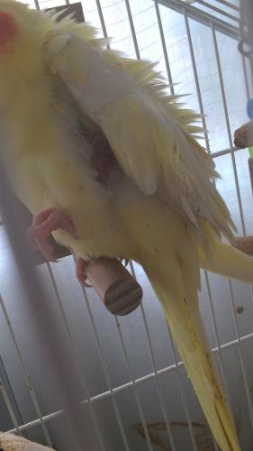 WP_20151128_14_08_53_Pro.thumb.jpg.85d6f