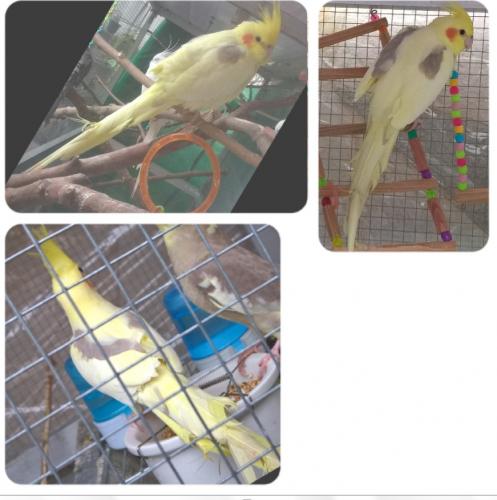 erto.thumb.jpg.677b3f77bccf789cc28a87c89