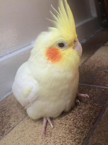 image.thumb.jpeg.421f0726aeaedb163909b0c