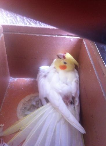 image.thumb.jpg.bacc6f5f2b0548a782849aed