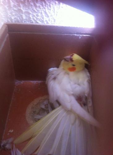 image.thumb.jpg.fa73618e8ce0de32e90934e0