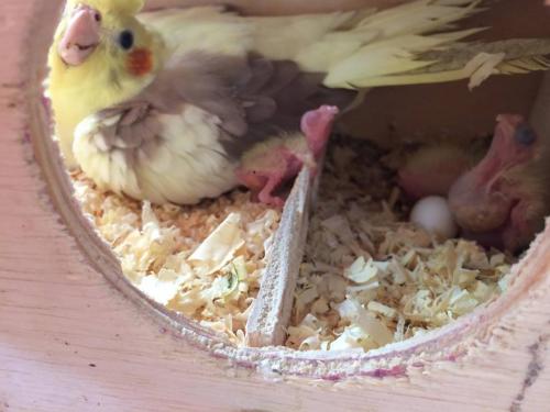 10621871_951658614909023_715472040_n.thu