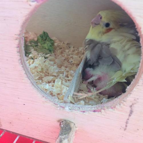 12358281_951658928242325_996228180_n.thu