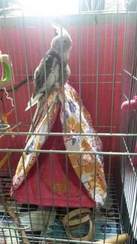 1448991629974-1538073119.thumb.jpg.be037